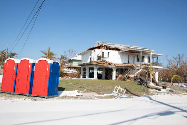 Best Storm Damage Tree Cleanup  in St Joseph, MN